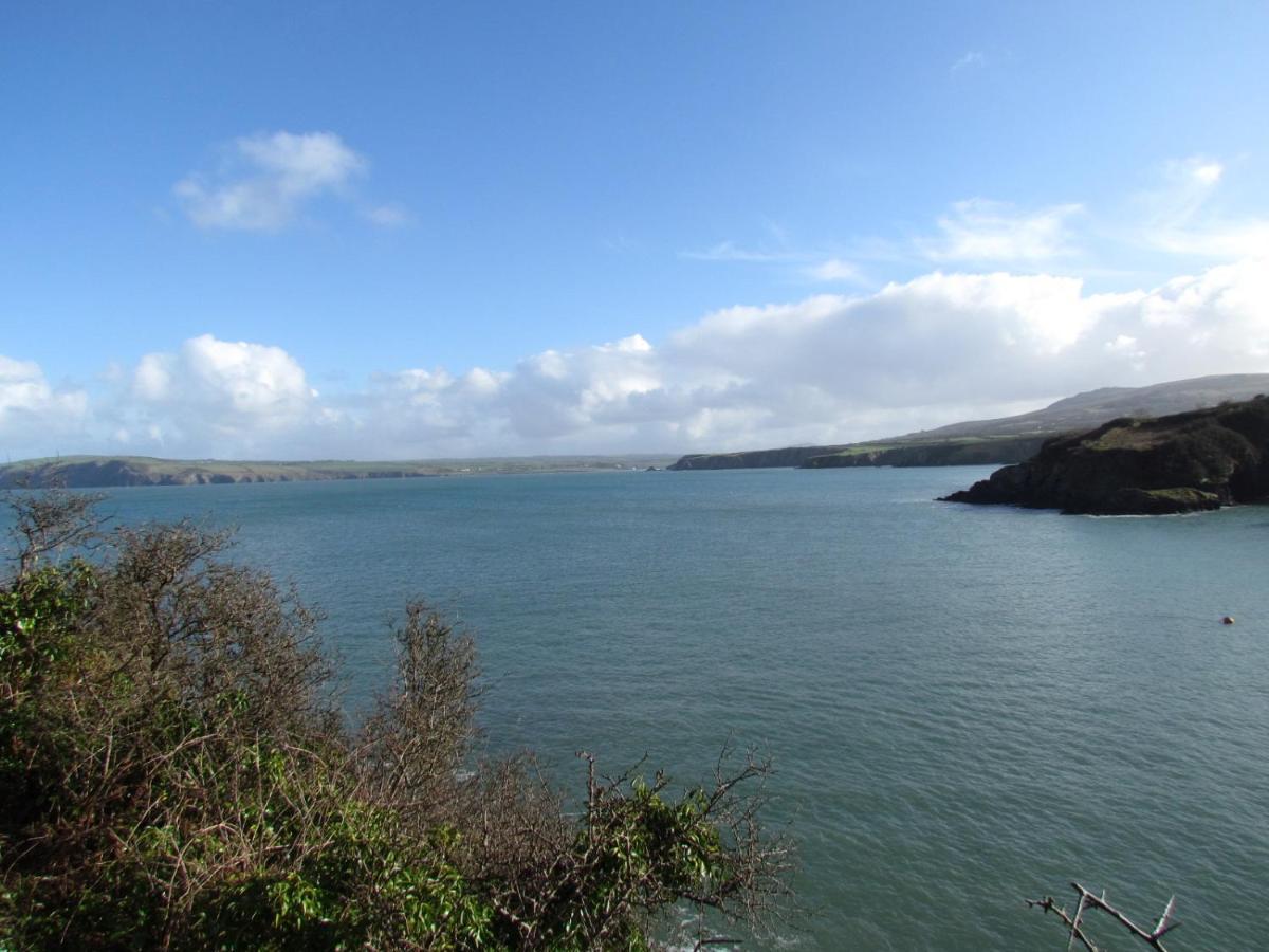 Ty Nain, Newport, Pembrokeshire Villa Newport  Exterior photo