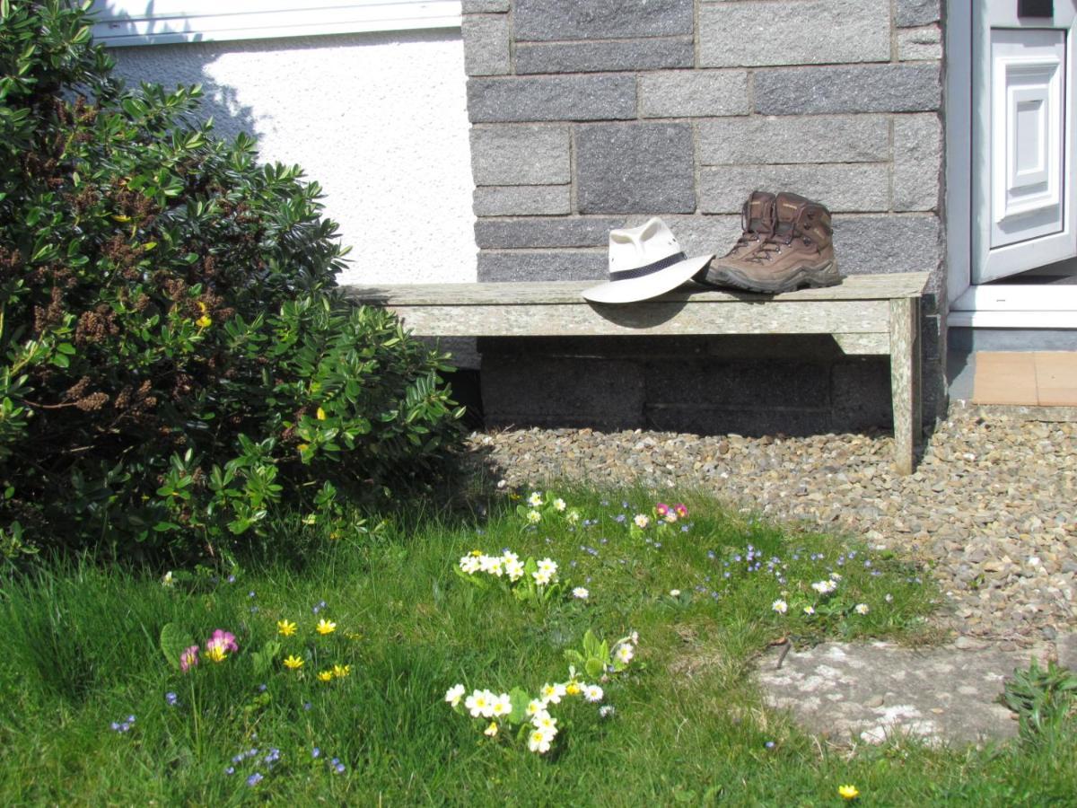 Ty Nain, Newport, Pembrokeshire Villa Newport  Exterior photo